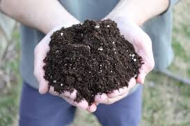 Rrk Potting Soil 5kg+(500gm Free) red Soil,River Soil,Black Soil,Clay,Cow&Goat Dung,Plant Waste,neem Waste etc..
