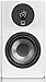 SVS Ultra Evolution Nano Bookshelf Speakers - Pair (Piano Gloss White)