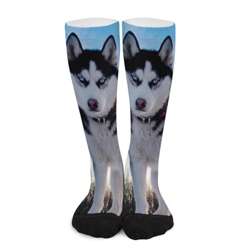 WAFICAC Calcetines de compresión para perros husky, transpirables, ligeros y hasta la rodilla, para mujeres y hombres.