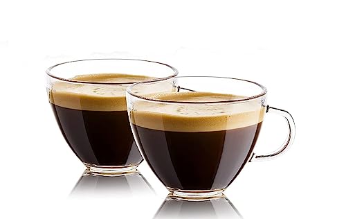 Image of MULTI ZONE 300 ML Crystal Clear Toughened Glass Tea Cup with Convenient Solid Handle Cups, Espresso Mug Set for Tea, Coffee, Hot /Cold Drinks (MZ-02)