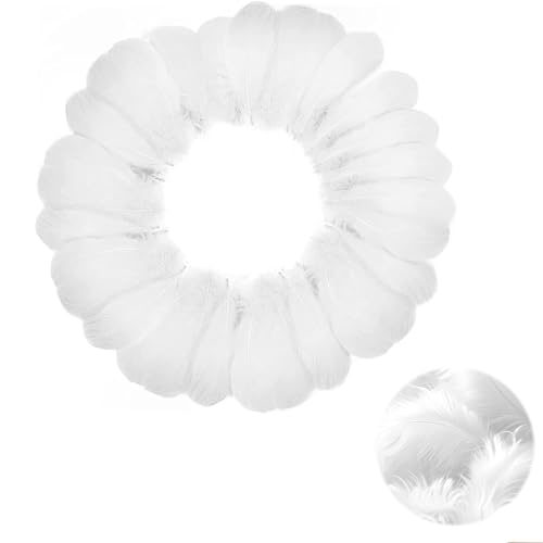 LBJFYHJN 150 penas brancas para trabalhos manuais, 5 a 8 cm, penas para caça-sonhos, acessórios de decoração para casamento/festa/dança