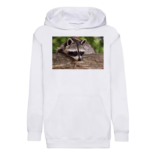 Sweat enfant raton laveur original : cadeau anniversaire mignon photo nature
