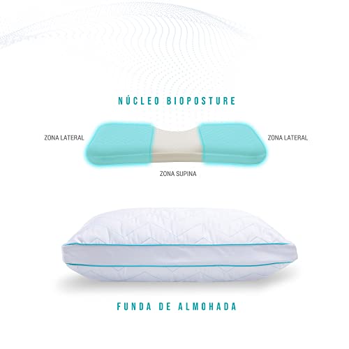 La Mejor Recopilación de Almohada Sognare Original al mejor precio. 21 Almohada Sognare Original marca Sognare (3)