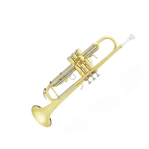 Bb gybg^J{fBgybgZbg[{bNXANZT[v̋Ǌy B tbg(1)