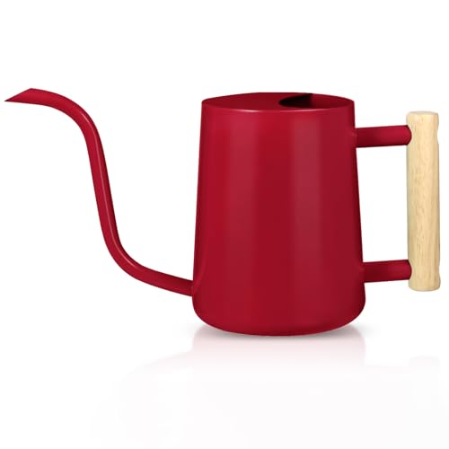 Image of Watering Can Indoor Plants, 35oz Small Stainless Steel Metal Watering Can Modern Decorative Watering Pot with Long Spout for Indoor House Plant Bonsai Garden Flowers (Red)