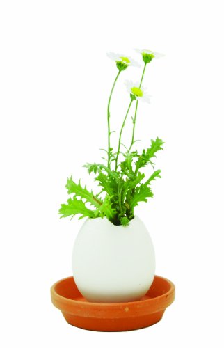 Preisvergleich Produktbild Egglings Pflanze - Petunie