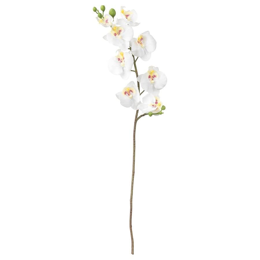 Sponsored Ad - PAPERI Artificial Orchid Flowers for Home Decor – Indoor Artificial Flowers for Decorations, Office Decoration Flower, Fake Decorative Items for Living Room, Centre Table, White, 93.98 cm, 3 Pcs