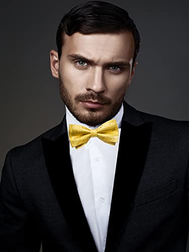 Image of DiBanGu Paisley Pre-Tied Bow Ties for Men Silk Adjustable Bowtie and Pocket Square Cufflinks for Wedding Party