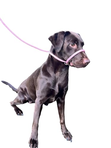 No More Pulling! Anti Pull Lead Field Figure 8 / Halter/Head Collar One Size Fits All Super Soft Braided Nylon Comfortable Make Your Walks More Enjoyable -Instructions Included (Pink)