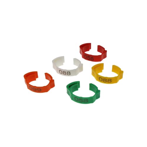 Bandas de identificación de pollo ajustables en pack de 100 anillos multicolores para aves 2