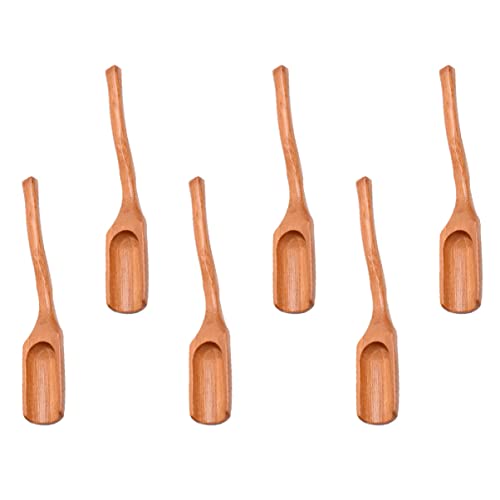 FUNOMOCYA 6 Pack Tea Spoons Curved Stirring Tools for Tea Ceremony Ergonomic Handle for Scented Tea and Loose Leaf