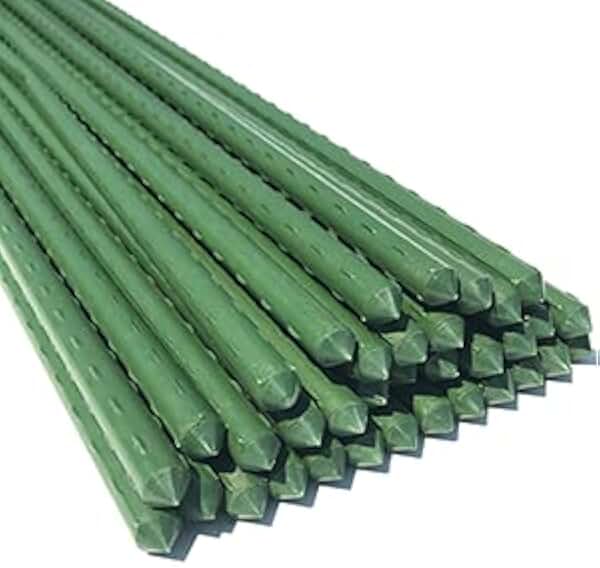 Garden Stakes Amazon.co.uk