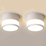 El paquete incluye: 2 lámparas de techo, 1 paquete de tornillos. El interruptor no está incluido. La luz tiene tres configuraciones de color, pero el brillo no es ajustable.