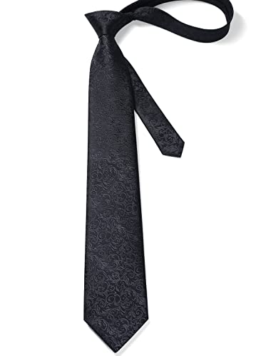 Image of HISDERN Ties for Men Paisley Tie and Pocket Square Woven Classic Floral Mens Ties Handkerchief Set Wedding Party Necktie