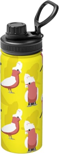 CCR FCR   ^fM ۉ ۗ X|[c{g XeX{g X|[cΉ RȂ 530ml j̎q ̎q  l q lC v[g