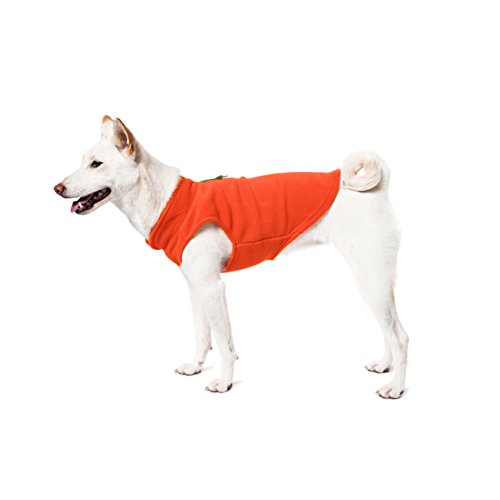 Image of Gooby Fleece Vest Dog Sweater - Pumpkin, X-Large - Warm Pullover Fleece Dog Jacket with O-Ring Leash - Winter Small Dog Sweater Coat - Cold Weather Dog Clothes for Small Dogs Boy or Girl (Pack of 2)