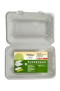 Freshee Bagasse Clamshell Pack of 10 Disposable Container for Food, Compostable Takeaway Clam Box for Food Delivery