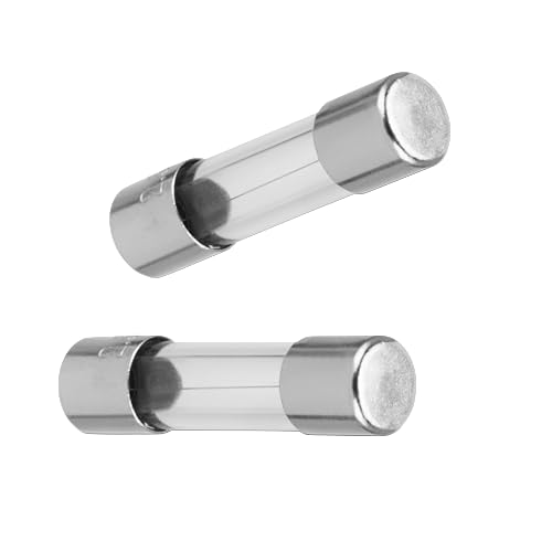 REV Sicherung KFZ - Feinsicherung träge, 1,25A Glassicherung, 2 Stück, 5 x 20mm, Schmelzsicherung silber