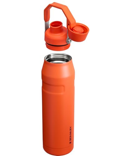 Image of Stanley IceFlow Fast Flow Water Bottle 36 oz | Angled Spout Lid | Lightweight and Leakproof for Travel and Sports | Insulated Stainless Steel | BPA-Free | Tigerlily Plum