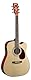 Cort mr500e Elektroakustische Gitarre