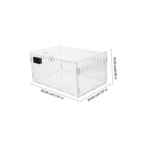 Élevage d'araignées en boîte transparente et cage à serpent Toddmomy - 3