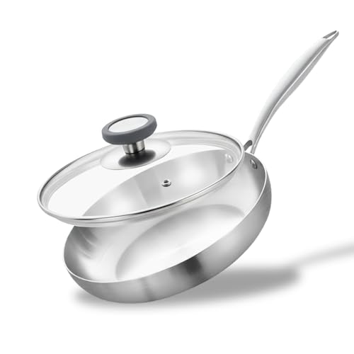 Electro-Gsm 26cm Edelstahl Paella-Pfanne mit Deckel