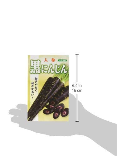 にんじん　コート36黒 Amazon | フタバ種苗 【一代交配】 黒にんじん (人参) コート種子300粒