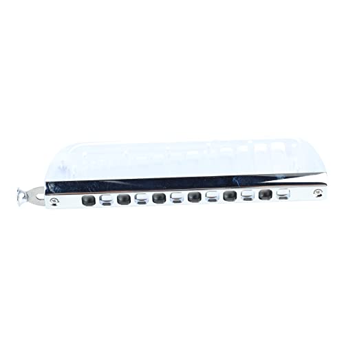 Peigne Harmonica, Large Application Peigne Harmonica Partie Petite Taille Facile à Utiliser pour les Débutants(255 Acrylique) - Les Beatles, Paul McCartney, John Lennon, RIngo Starr, George Harrison Peigne Harmonica, Large Application Peigne Harmonica Partie Petite Taille Facile à Utiliser pour les Débutants(255 Acrylique)