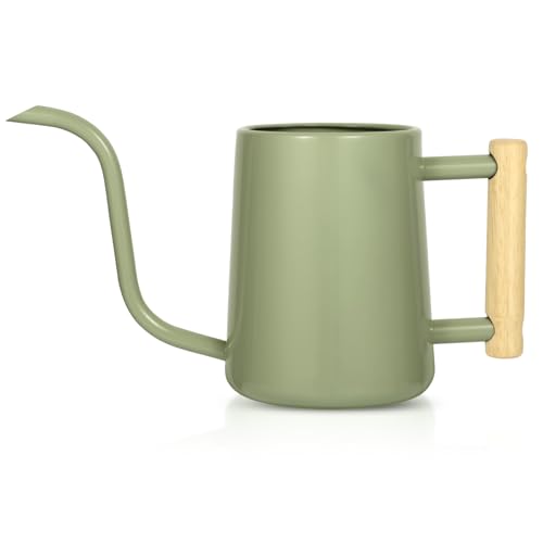 Image of Watering Can Indoor Plants, 35 oz /1000 ml Metal Stainless Steel Watering Can Pot with Long Spout for Indoor House Plants Bonsai Outdoor Garden Flower Decorative (Sage Green)