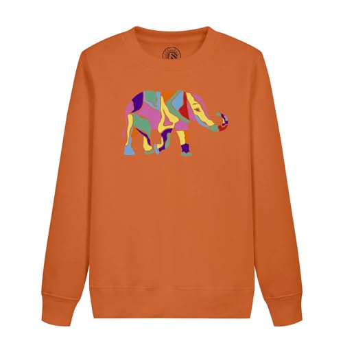 Sweatshirt enfant éléphant multicolore vêtement coton pull animaux