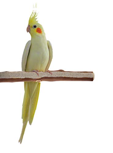 Sweet Feet and Beak Superoost Manzanita Pumice Pedicure Perch - Patented Bird Perch Keeps Nails and Beak in Top Condition - Imitates Birds' Life in The Wild - Non-Toxic, Easy Installation - X-Small