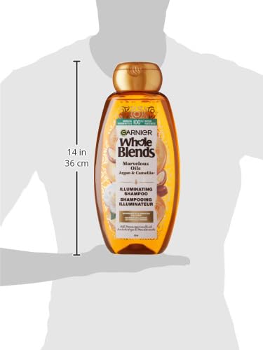 Garnier Whole Blends Shampoo with Moroccan Argan & Camellia Oils Extracts, 22 Fl Oz (Pack of 1), Moroccan Argan & Camelilia Oils