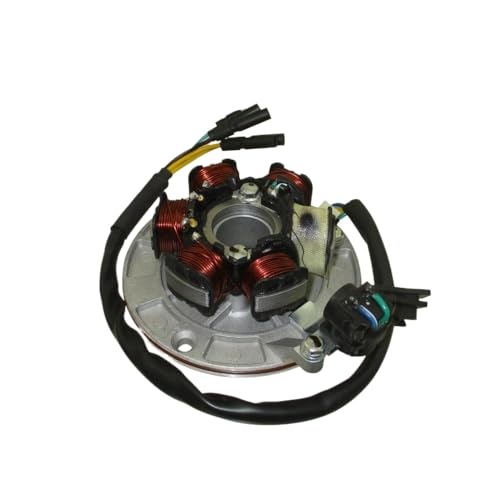Stator de Allumage Magnéto pour Pit Bike 140cc Moteur YX et Apollo