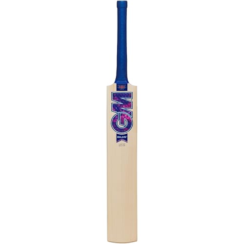 Batte de cricket taille 5 Gunn & Moore Galaxy 404 pour éviter les chocs