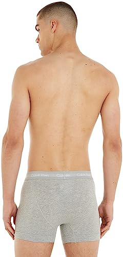 Calvin Klein Men's Trunk (Pack Of 3) (pack of 3)