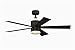 Fanimation FP8458DZ Torch - 52 inch - DZ