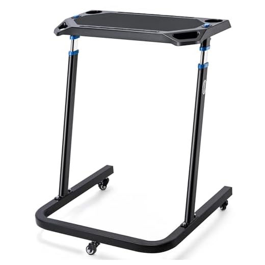 31NidB49AhL._SS520_ Best rad bike trainers