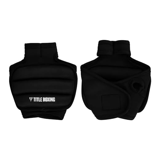 TITLE Boxing Weighted Gloves 2.0 (3, Pounds)