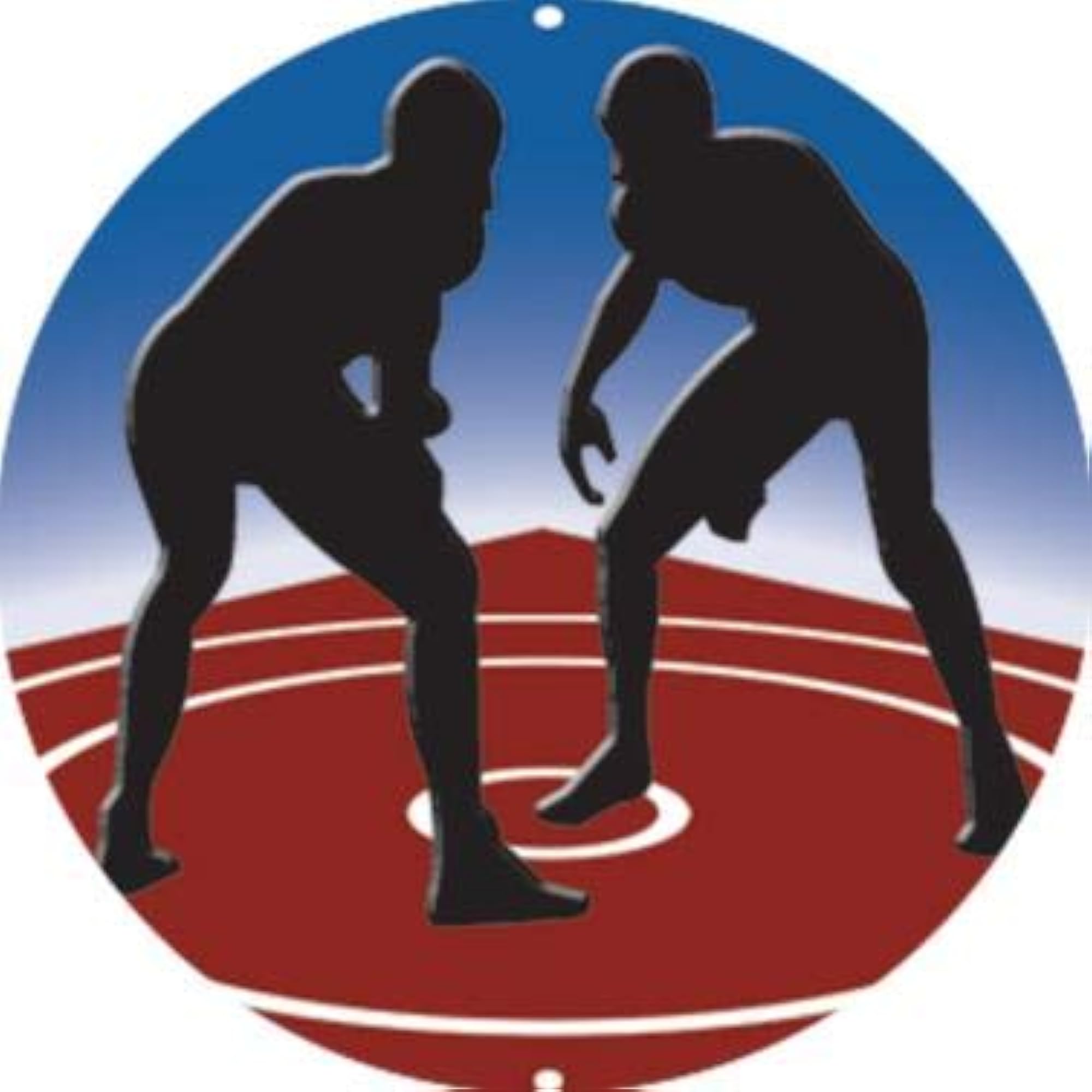 Gold Rhinestone Wrestling Pin, Sport Gift