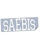 SAEBIS