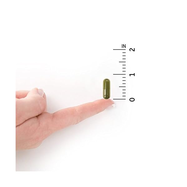 GARDEN OF LIFE Vitamin Code Raw D3 Bottle Supports Bone,Breast,Prostate And Immune Health 2000Iu Vegan Capsules - Image 7