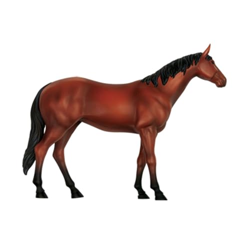 Modèle d'anatomie de cheval éducatif pour comprendre le corps des animaux sans écran - 5