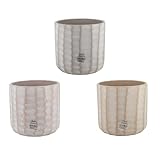 Decoris