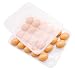 JVSISM Soporte para Huevos para Refrigerador, Portador de Bandeja de Huevos Rellenos...