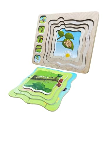 Image of Butterfly Life Cycle Puzzle for Kids, Wooden Puzzle with Layers Showing Butterfly Transformation, Ages 2+ | Aligator Life Cycle Jigsaw Puzzle -Fun &Animal Puzzle | Combo Pack of 2