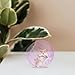 POPETPOP Hamster Exercise Ball, 4 Inch Hamster Running Ball Transparent Plastic Wheel Guinea Pig Sports for Dwarf s Small Pets Supply Pink