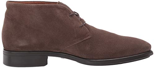 Ecco Men's Citytray Chukka Ankle Boot, Dark Clay, 13 Us Medium #TOP5