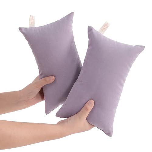 NTBAY 2 Pack Tiny Pillows, 11"x7" Microfiber Mini Pillows for Travel, Pets, Soft Machine Washable Small Pillows for Neck, Wrist, Lumbar and Knee, Lavender by NTBAY - Used condition - CA$18.11