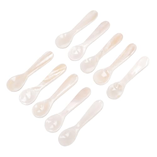 Cucharas pequeñas de concha natural blancas, artesanía sofisticada para servir 4