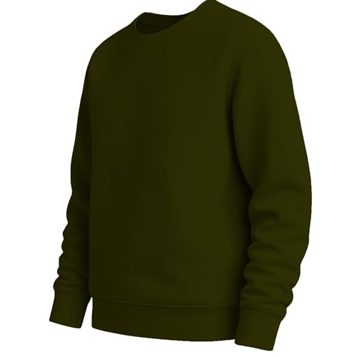 Image of THE BLAZZE Women's Fleece Stretchable Full Sleeves Sweatshirt Regular Fit Round Neck Casual Winterwear for Girls and Womens VBW5